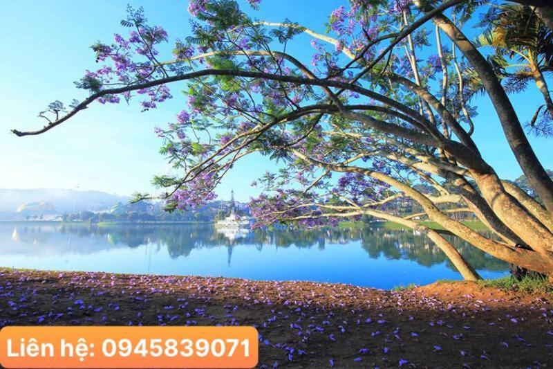 Khach San Da Lat View - Villa Da Lat Buitenkant foto